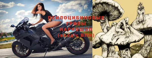 хмурый Ельня