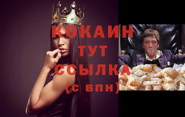 spice Абаза