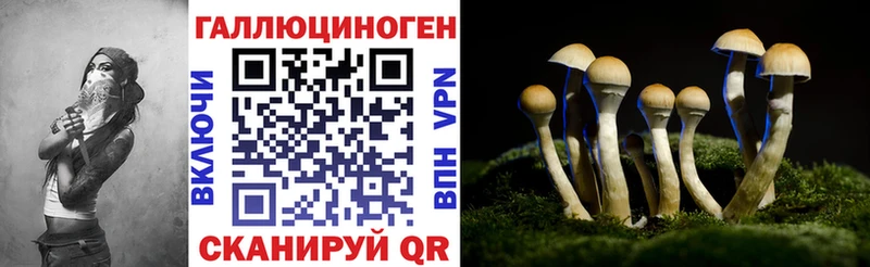 Псилоцибиновые грибы GOLDEN TEACHER  цены наркотик  Тбилисская 